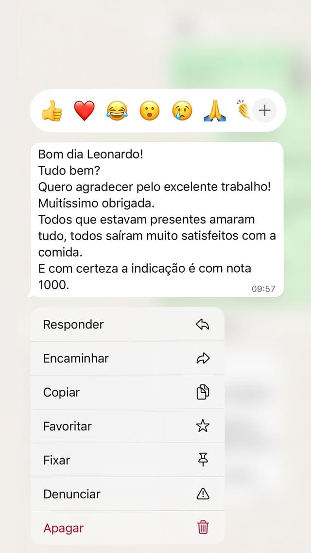 Mensagem de agradecimento recebida de cliente após o evento