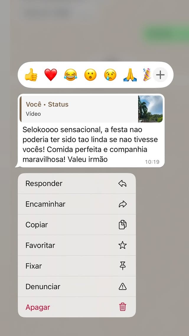 Mensagem de agradecimento recebida de cliente após o evento